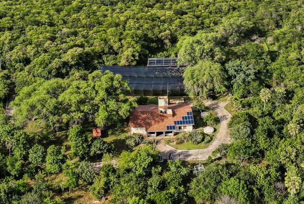 serra-das-almas-caatinga