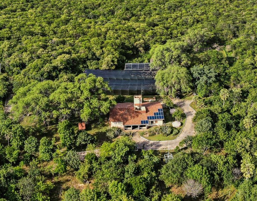serra-das-almas-caatinga