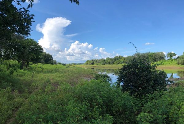 rppn conservacao voluntaria preservacao caatinga