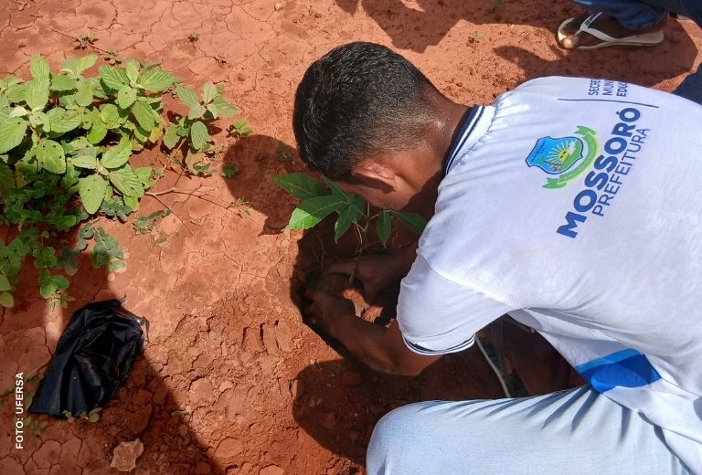 mais-caatinga-associacao-ufersa mais-caatinga-associacao-ufersa