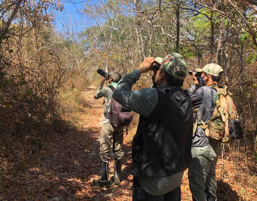 Em live no Youtube, Associação Caatinga lança Guia de Aves da Reserva Natural Serra das Almas