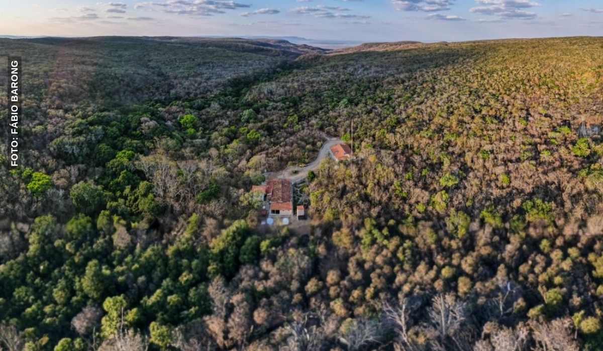 Ceará leva pauta da Caatinga para centro das discussões na COP 30