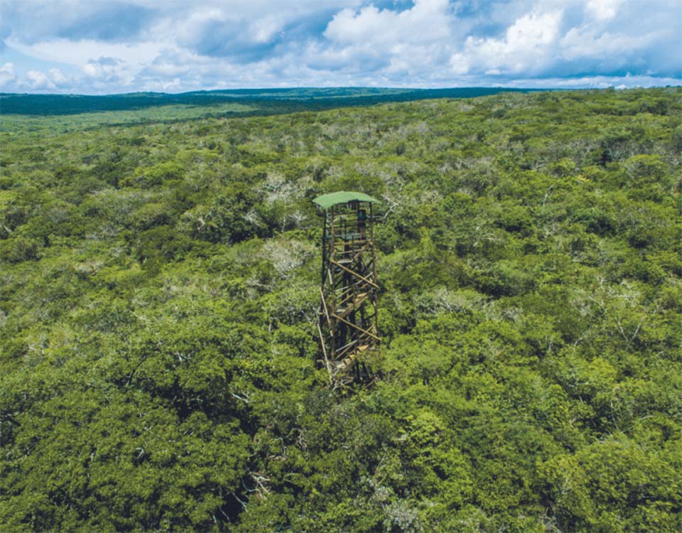 Associação Caatinga participa de workshop da LATAM sobre mudanças climáticas