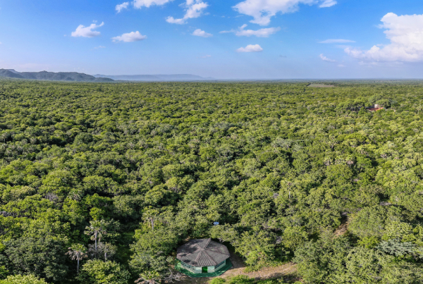 caatinga-associacao-latam