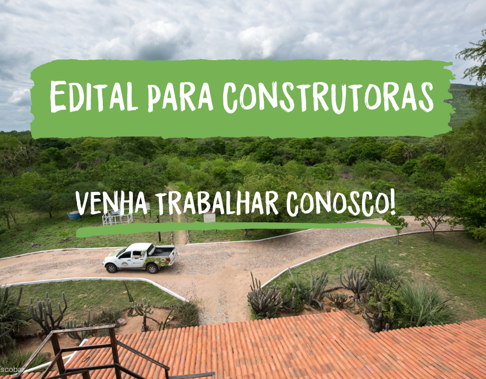 Associação Caatinga lança edital para construtoras