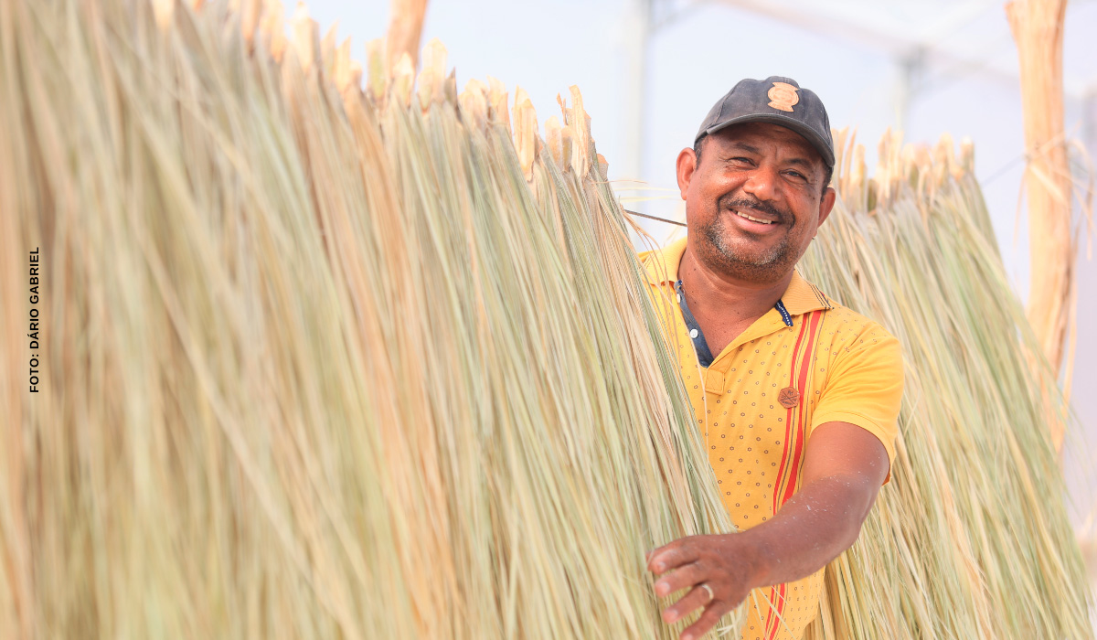 Francisco José: uma vida dedicada à luta pela terra e ao coletivo
