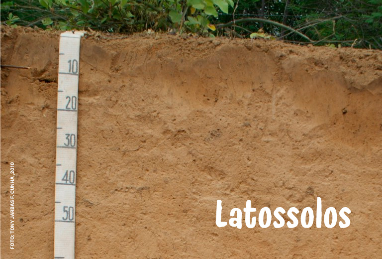 Dia-Nacional-da-Conservacao-do-Solo-associacao-caatinga-6 Dia-Nacional-da-Conservacao-do-Solo-associacao-caatinga-6