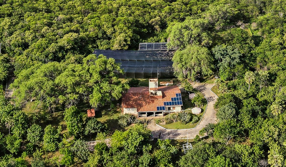 Reserva Natural Serra das Almas comemora 24 anos dedicados à preservação da Caatinga