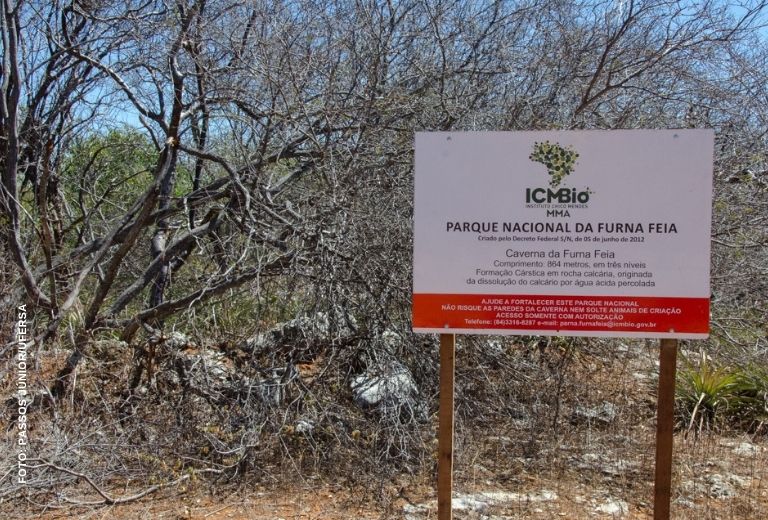 mais-caatinga-associacao-ufersa mais-caatinga-associacao-ufersa