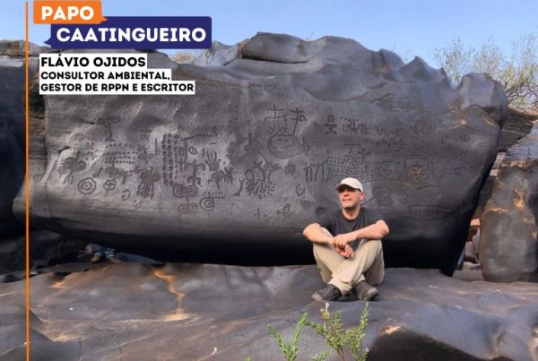 flavio-ojidos-caatinga