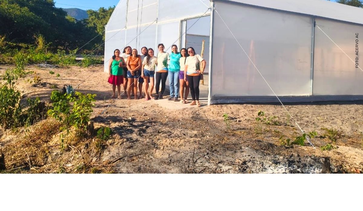Comunidades de Granja (CE) fortalecem produção de carnaúba com novas tecnologias e capacitações
