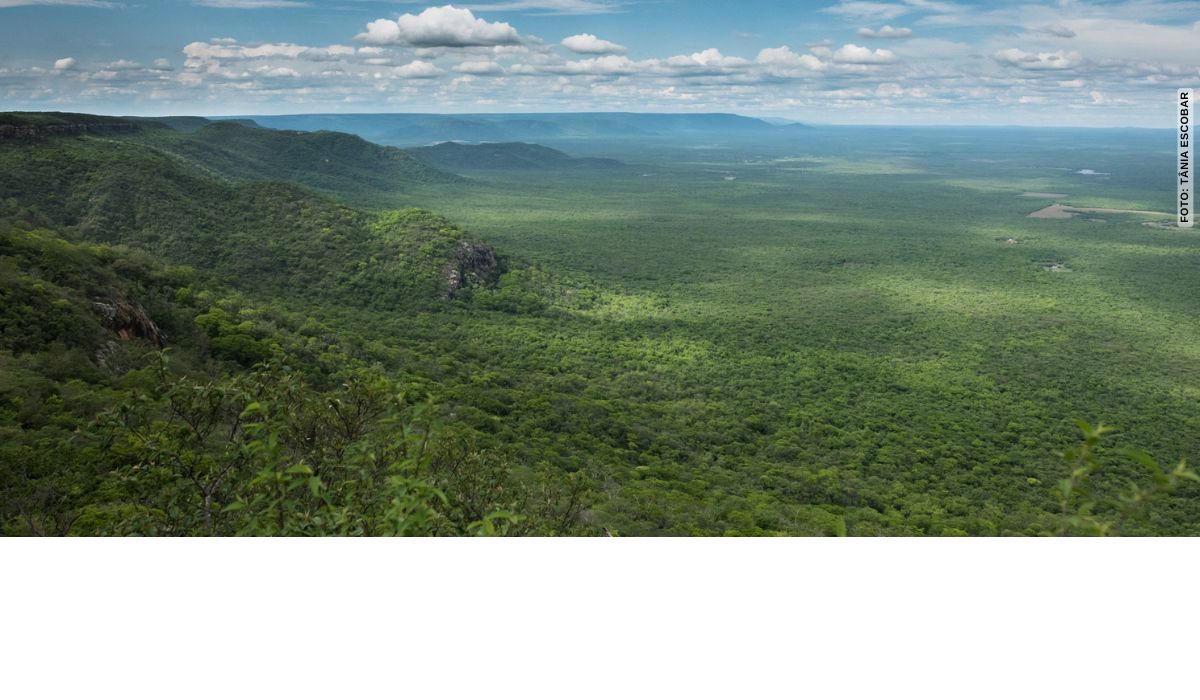 Beach Park adota pela quarta vez hectares da Reserva Natural Serra das Almas