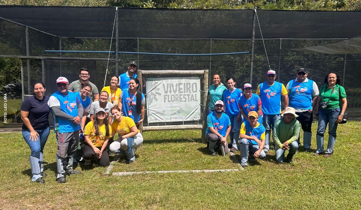 Equipe da Hidracor planta 50 mudas de carnaúba em unidade de conservação de Maracanaú