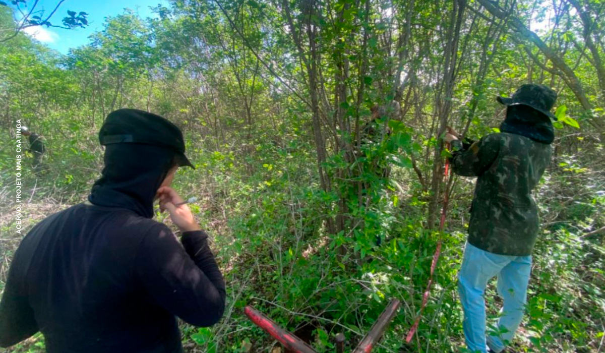 Projeto Mais Caatinga avança com ações no Parque Nacional da Furna Feia, no Rio Grande do Norte