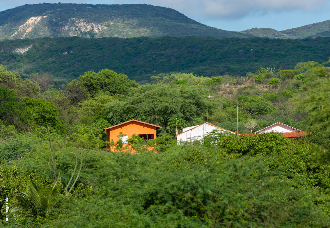 Associação Caatinga participa de planejamento do Comitê Estadual da Reserva da Biosfera da Caatinga