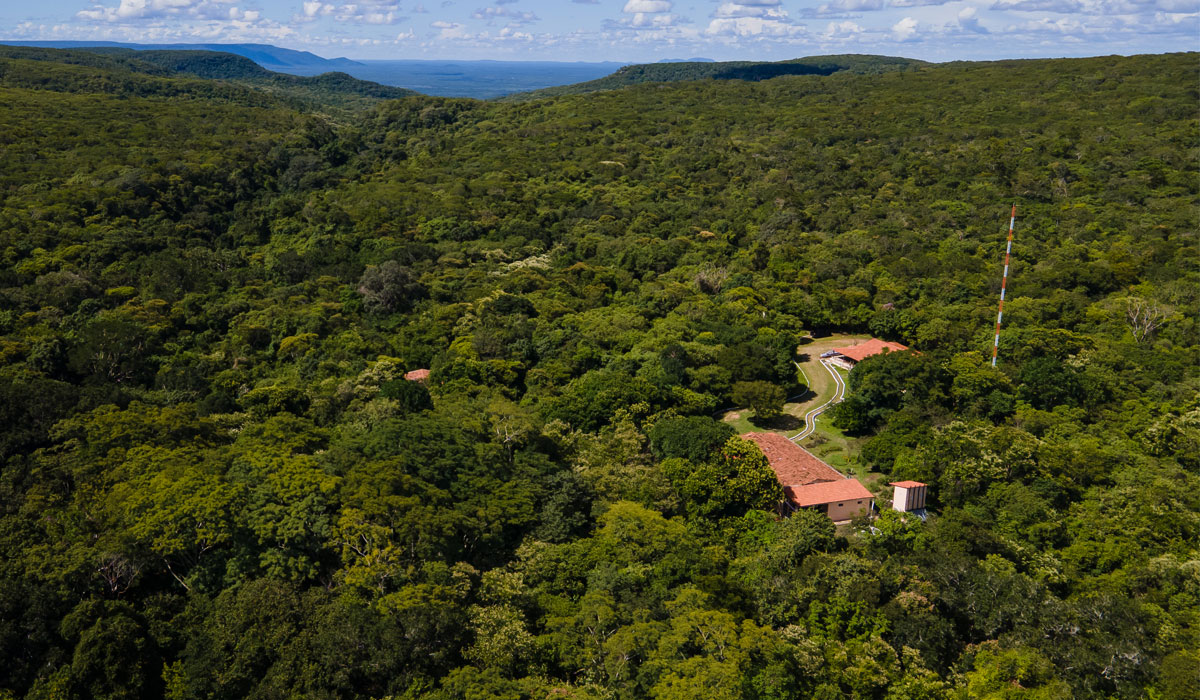 Reserva Particular do Patrimônio Natural: como criar, definição e benefícios para o meio ambiente