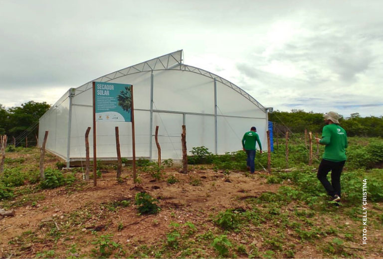 Secador-solar-e-carnauba-associacao-caatinga-4 Secador-solar-e-carnauba-associacao-caatinga-4