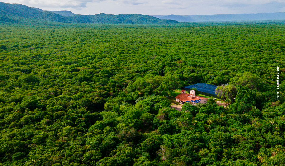 UCBIO 2026: Associação Caatinga participa de conferência nacional sobre Unidades de Conservação