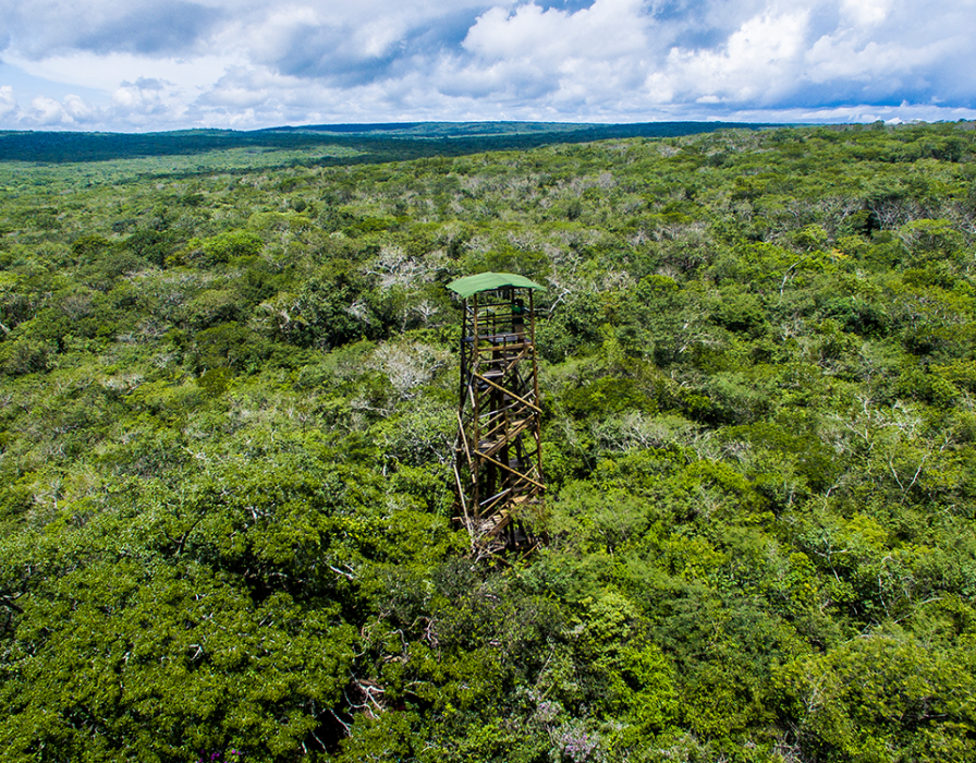 reserva-natural-serra-das-almas-fabio-arruda