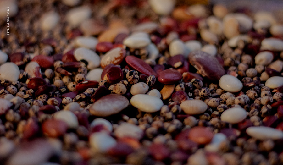 Qual a relação entre a alta do preço dos alimentos e as mudanças climáticas?