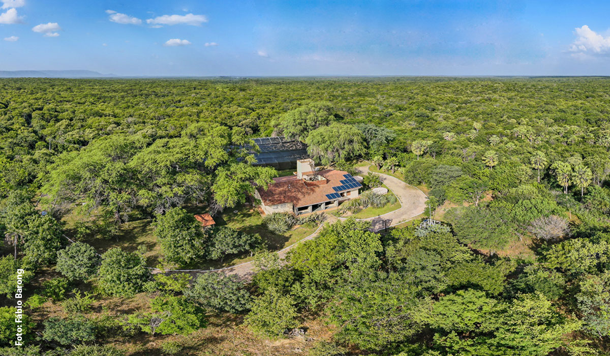 Associação Caatinga participa de evento federal sobre RPPNs — unidades de conservação privadas