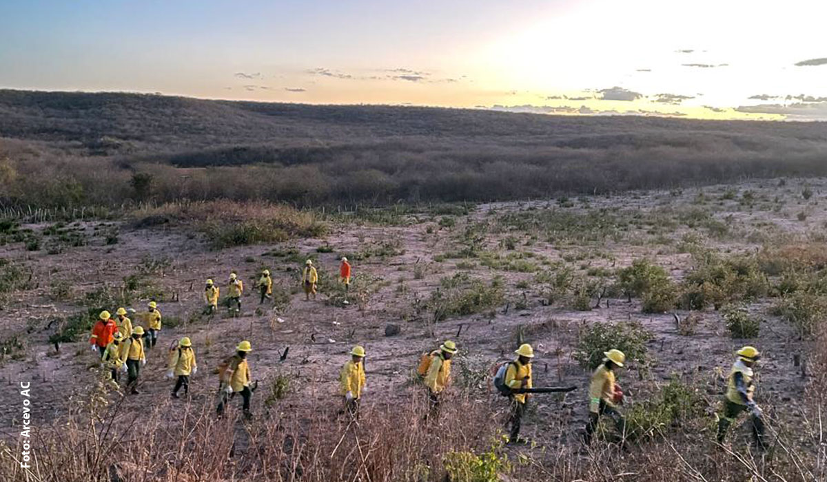 Associação Caatinga lança cartilha para formação de brigadas comunitárias contra incêndios florestais