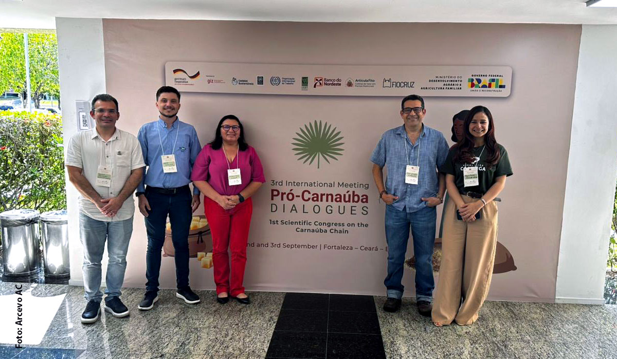 Associação Caatinga apresenta inovações na cadeia produtiva da carnaúba em encontro internacional