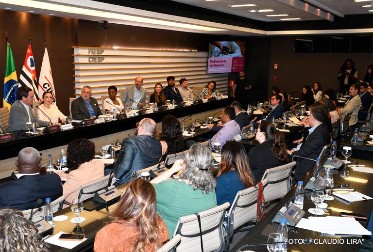 associacao-caatinga-Fundo-Ancestra-4 associacao-caatinga-Fundo-Ancestra-4