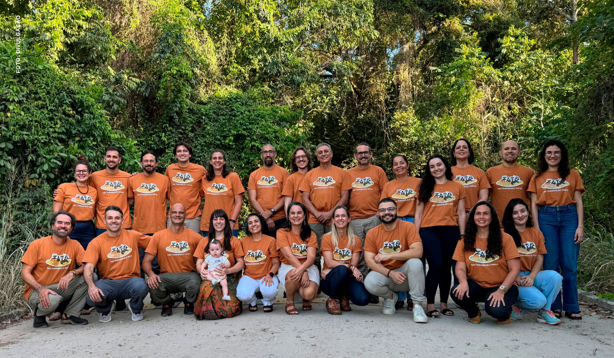 PAN TATA: Plano Nacional para Conservação de tamanduá e tatus inicia transição para novo ciclo