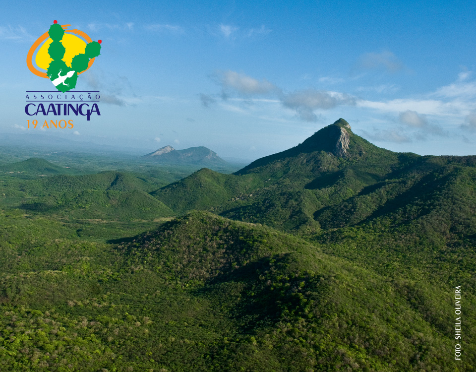 Associação Caatinga completa 19 anos de trabalho pela preservação da Caatinga