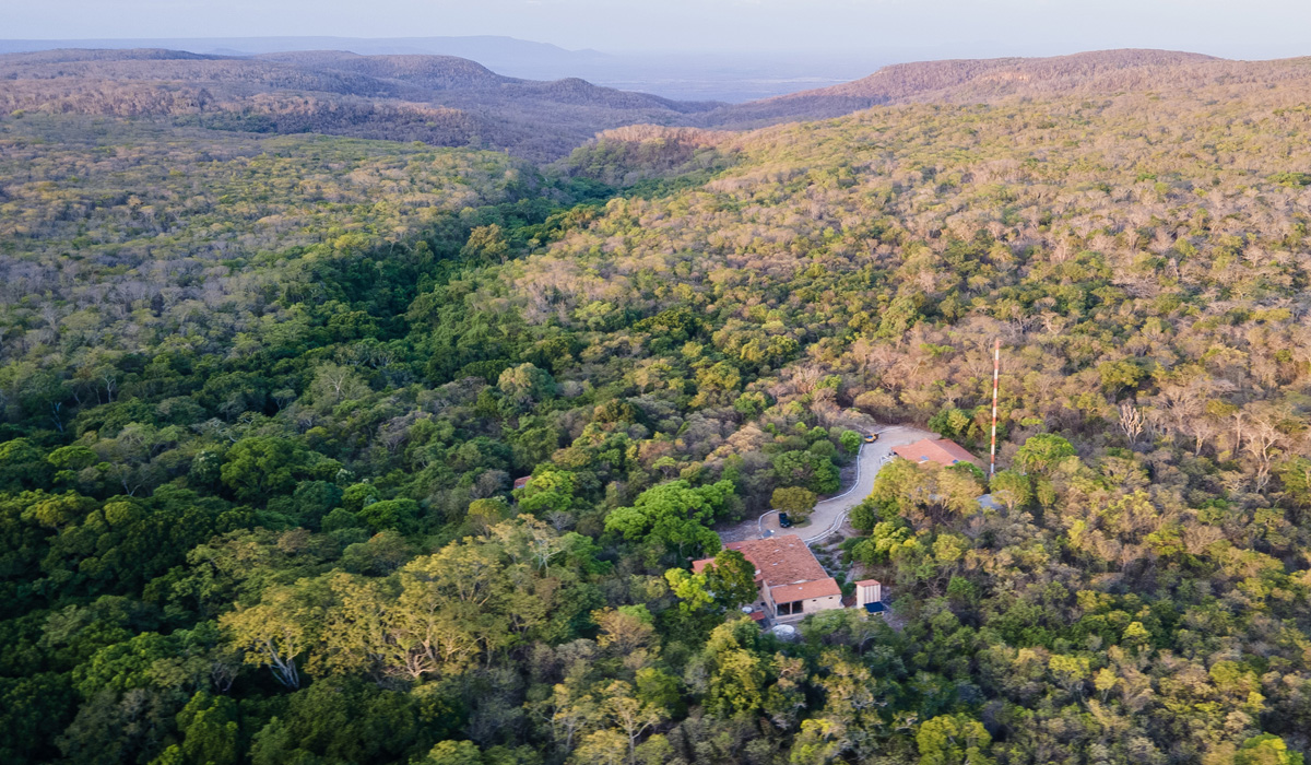 Celebração do Dia da Caatinga : Evento gratuito no Parque do Cocó destaca biodiversidade do bioma
