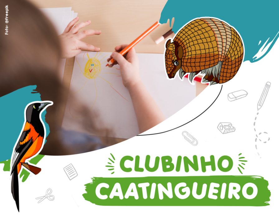 associação-caatinga-educação-ambiental-à-distância