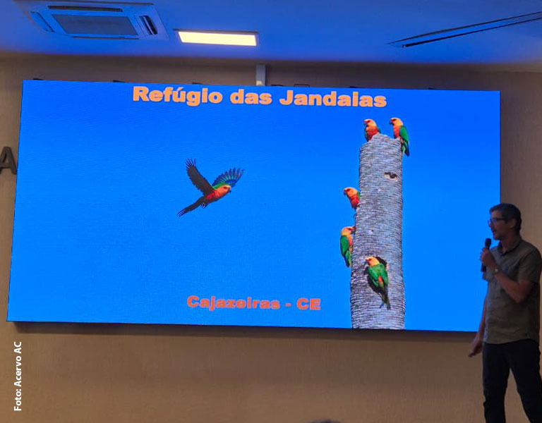 associacao-caatinga-consulta-publica-jandaia-verdadeira-3 associacao-caatinga-consulta-publica-jandaia-verdadeira-3