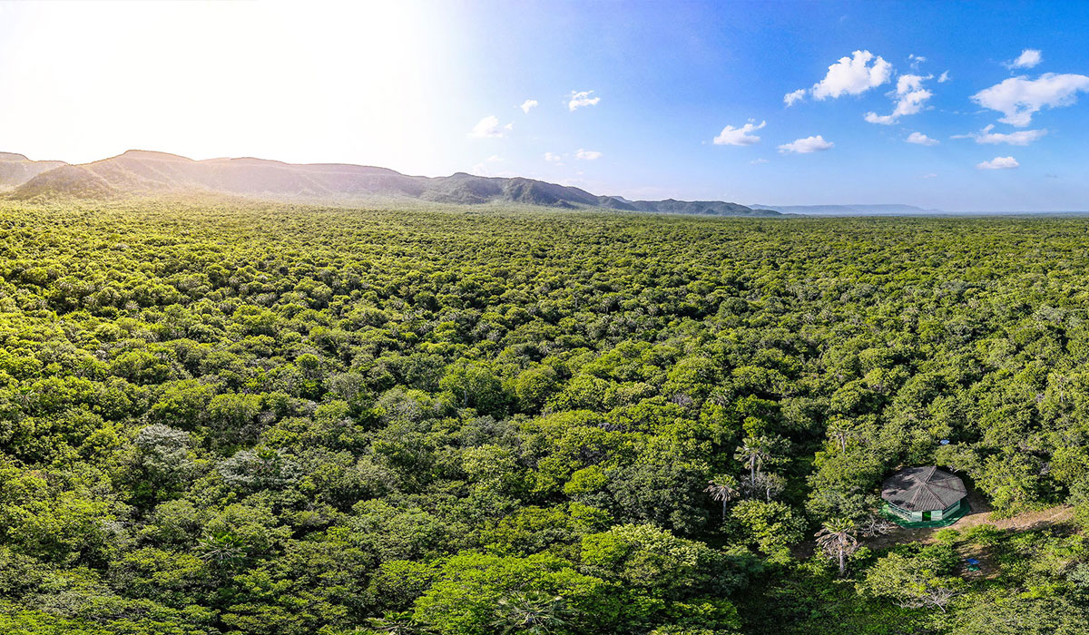 Associação Caatinga celebra Dia Nacional das Reservas Particulares do Patrimônio Natural com apoio em mais de 70% das áreas privadas no Ceará