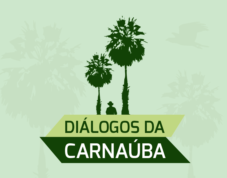 Aracati receberá última edição do encontro Diálogos da Carnaúba