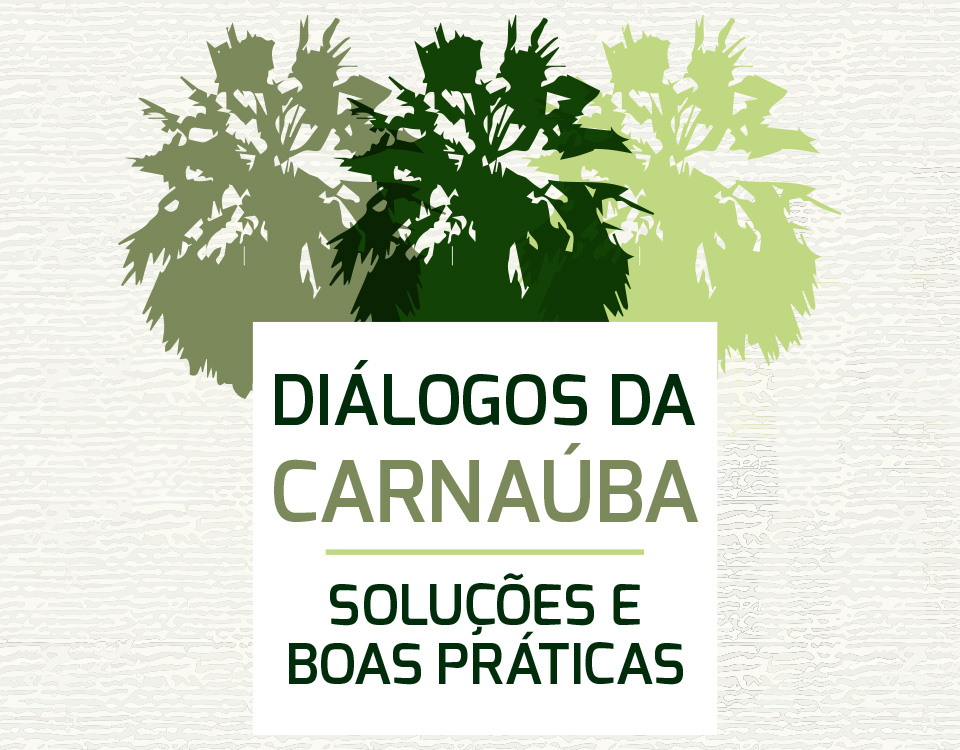 Projeto Carnaúba Sustentável entra em sua segunda fase e Diálogos da Carnaúba enfatiza soluções e boas práticas no ciclo produtivo da cera