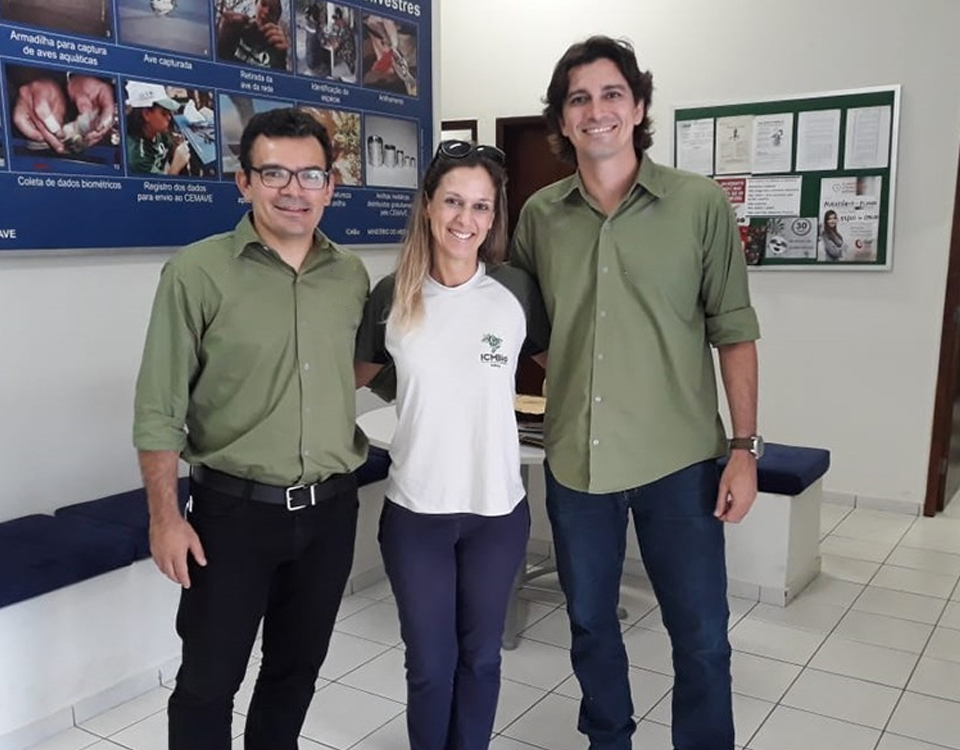 Programa de conservação do Tatu-bola e ICMbio se reúnem