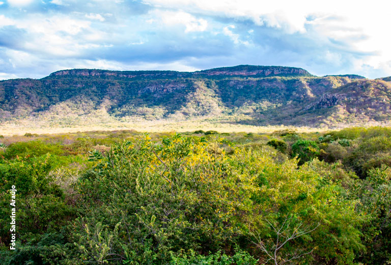 Conheça o projeto que vai ampliar e fortalecer a gestão de unidades de conservação no Ceará