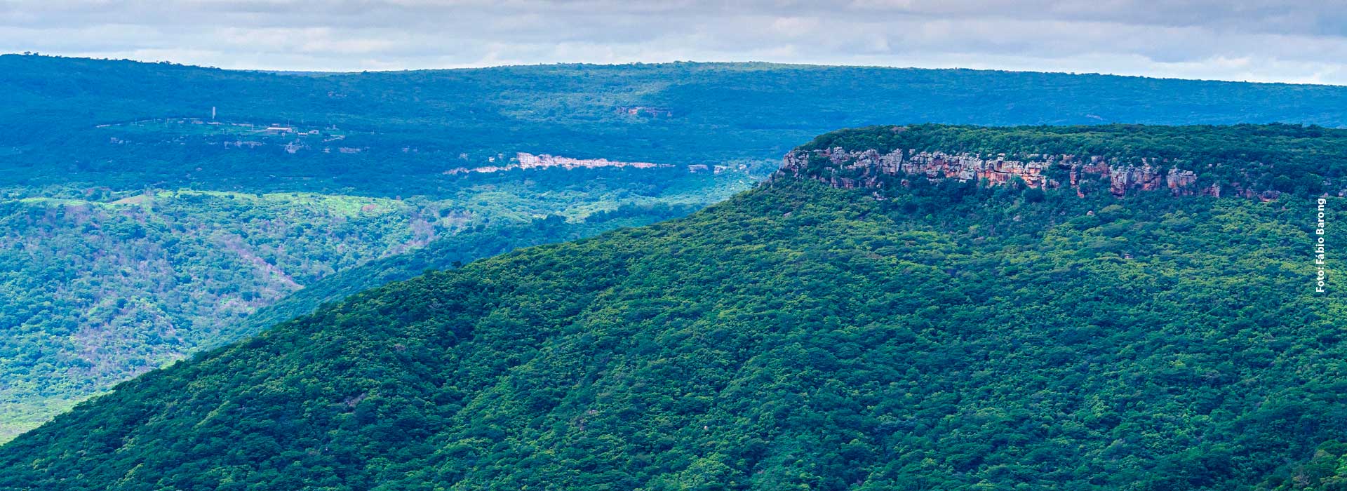 Associação Caatinga celebra o dia das RPPNs com ampliação de programa de preservação e criação de novas reservas