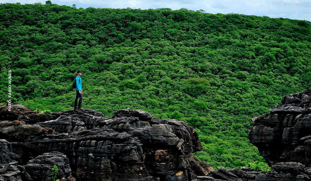 Samuel Portela: uma trajetória que virou referência na conservação da Caatinga