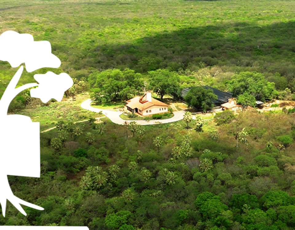 Implantação da Sala Verde na Reserva Natural Serra das Almas tem apoio do Ministério do Meio Ambiente
