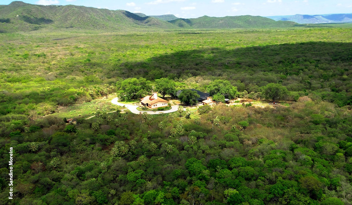 Associação Caatinga celebra 90 anos da Expedição Carnaúba, marco histórico de coragem e conservação