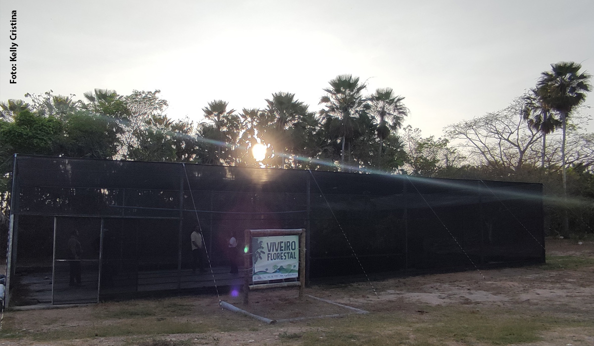 Associação Caatinga e White Martins unem forças pela restauração florestal e pela conservação da Caatinga