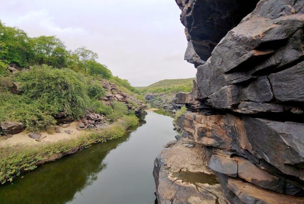 Ceara-ganha-duas-novas-Unidades-de-Conservcao-associacao-caatinga
