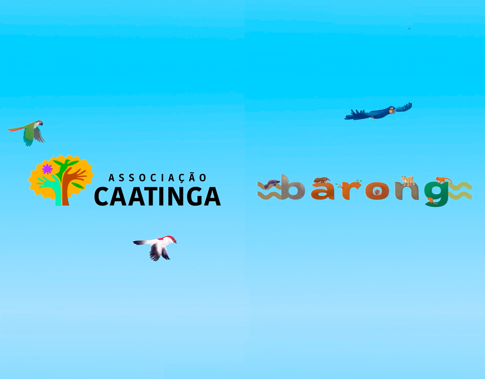 Associação Caatinga e Barong Anima lançam vídeo em animação como ferramenta para educação ambiental