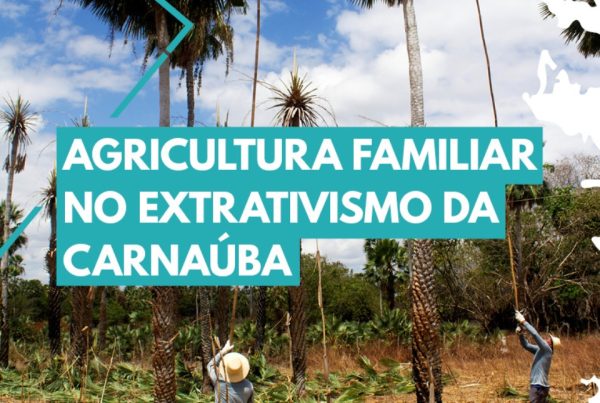 cartilha-agricultura-familiar-no-extrativismo-da-carnauba