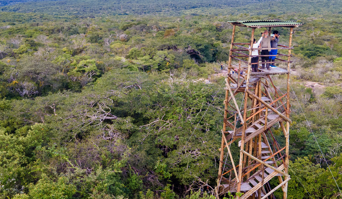 O que é e o que faz a Associação Caatinga?