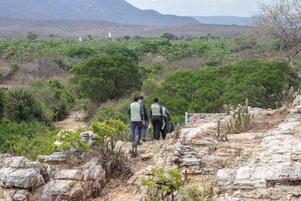 criacao-unidades-de-conservacao-ceara-7