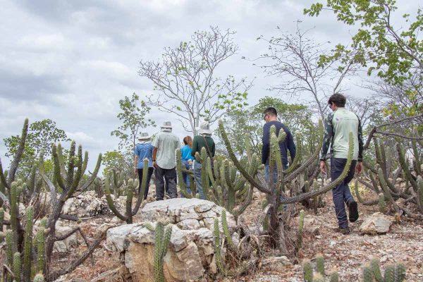 criacao-unidades-de-conservacao-ceara-8