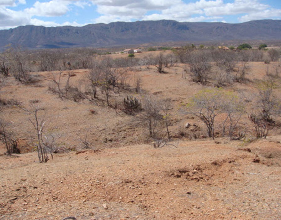 desertificação-caatinga